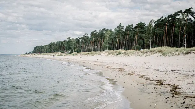 The Soul of the Baltic Sea: Jūrmala half-day tour