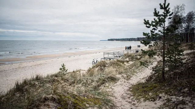 From Riga: Pärnu day trip — 2 countries seaside experience