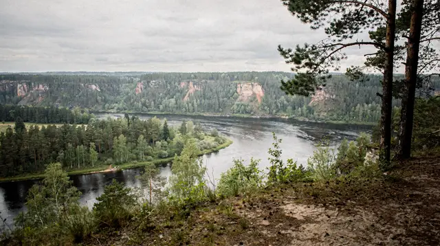 Riga: Sigulda bobsleigh and luge track ride with hotel transfers