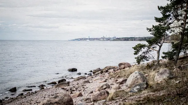Two countries in one day: day trip from Riga to Tallinn