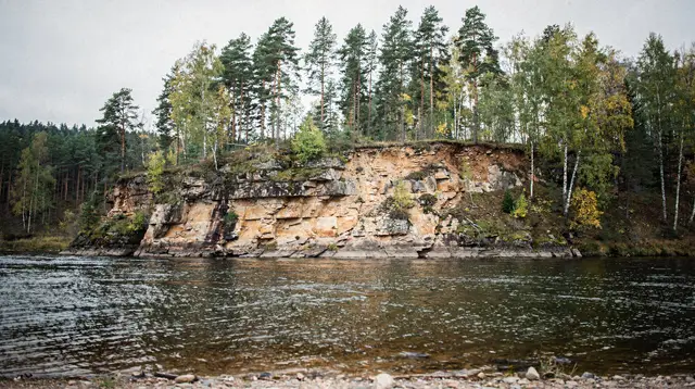 Gauja National Park: 15-km guided hiking tour